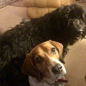 Meet your Posher, Jim